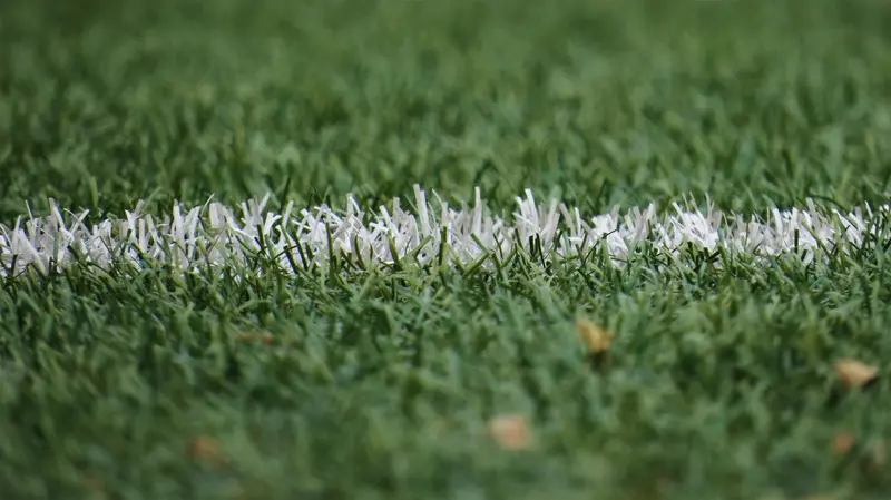 línia blanca en gespa artificial per a futbol