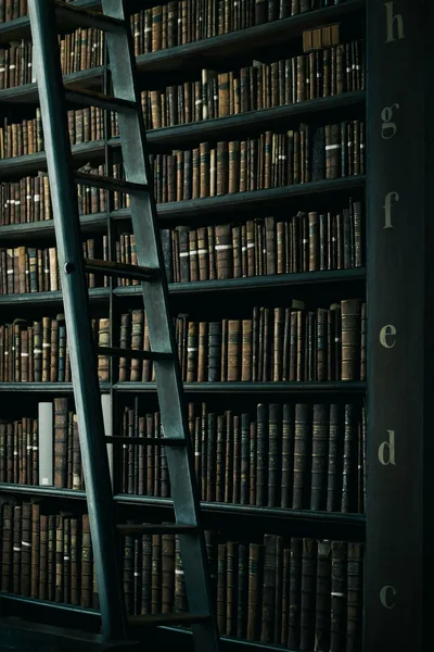 libreria de biblioteca antigua
