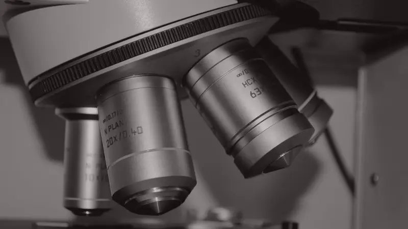 Pigment microscopio